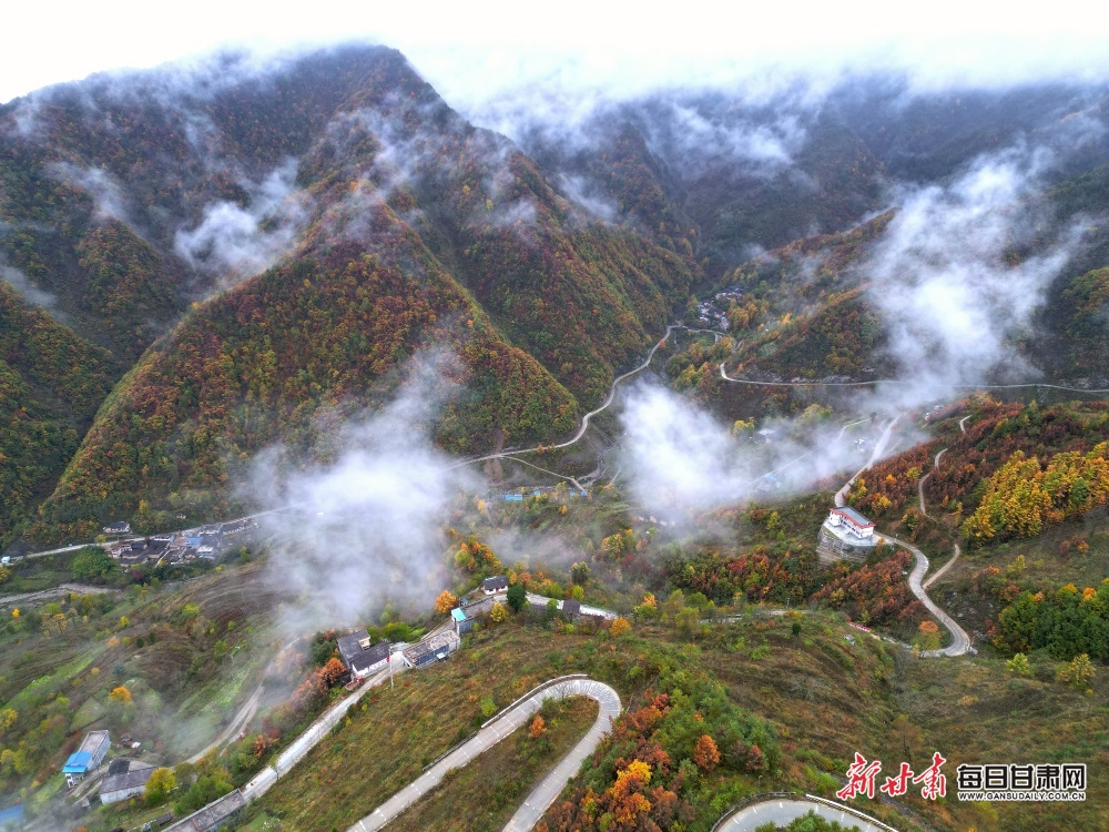 【大美甘肃】陇南：秋叶树树黄 薄雾依山峦_fororder_6