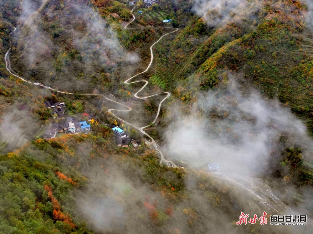 【大美甘肃】陇南：秋叶树树黄 薄雾依山峦_fororder_8