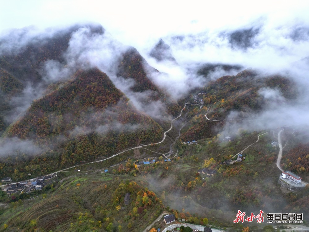 【大美甘肃】陇南：秋叶树树黄 薄雾依山峦