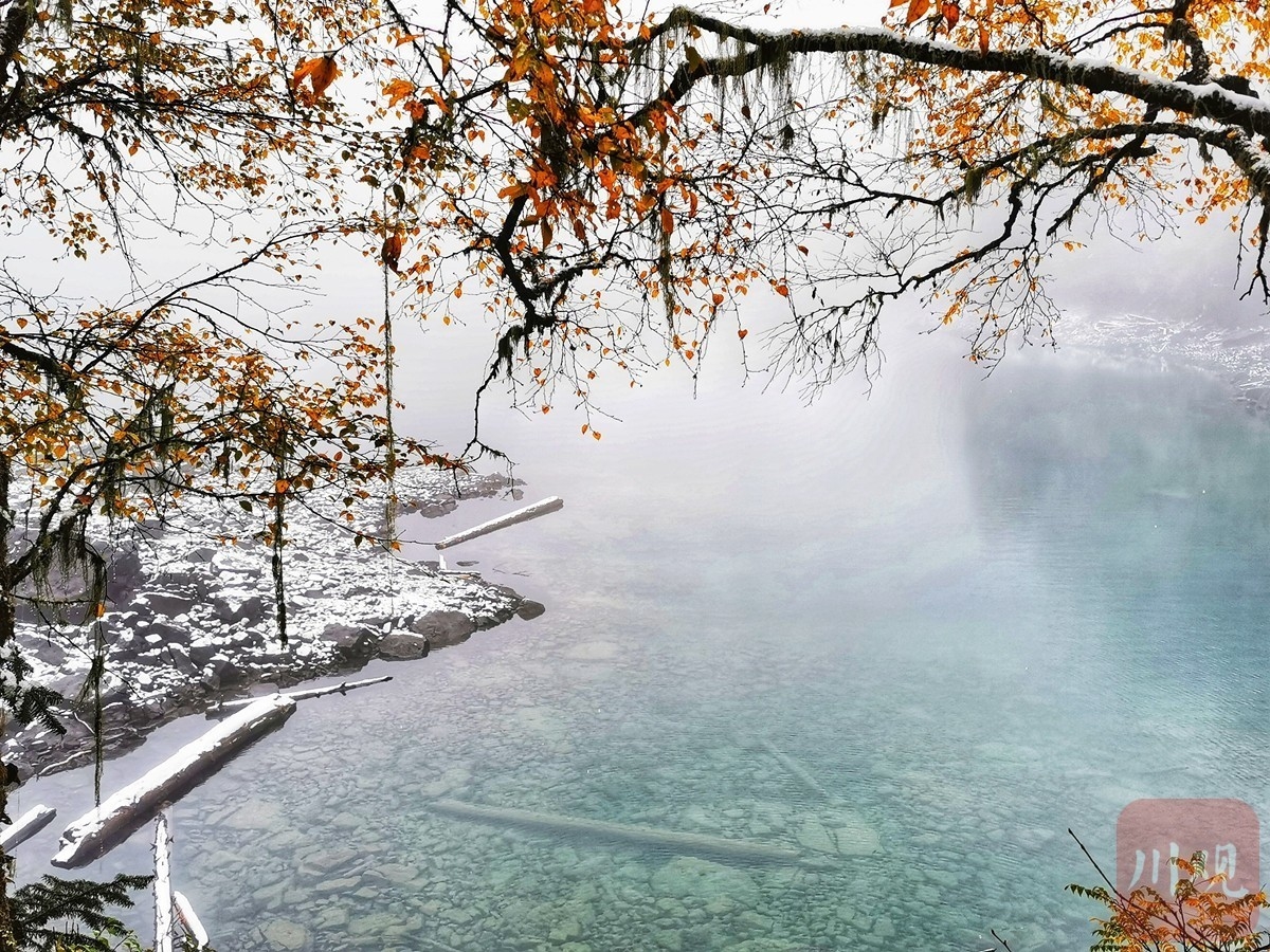 （转载）彩林与冰雪碰撞！雪后九寨沟黄龙美成“童话世界”