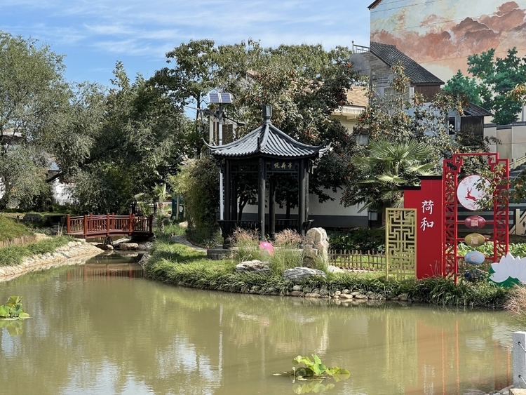 把乡愁留在心间 新蓝田向着乡村振兴加速_fororder_微信图片_20221012153547_副本