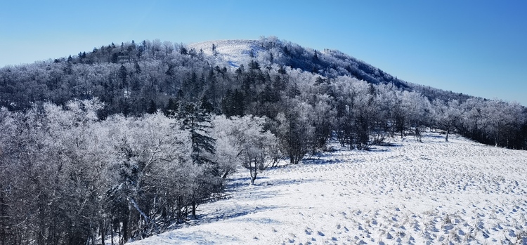 迎入秋最大降雪 亚雪公路美如画