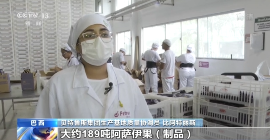 共享进博新机遇丨巴西特产“阿萨伊”亮相进博会