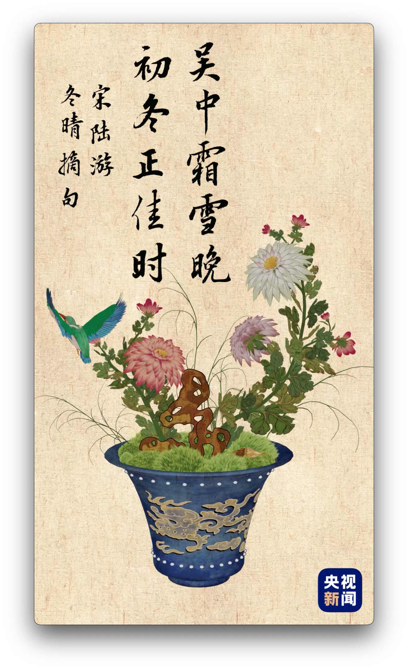 人间好时节丨立冬