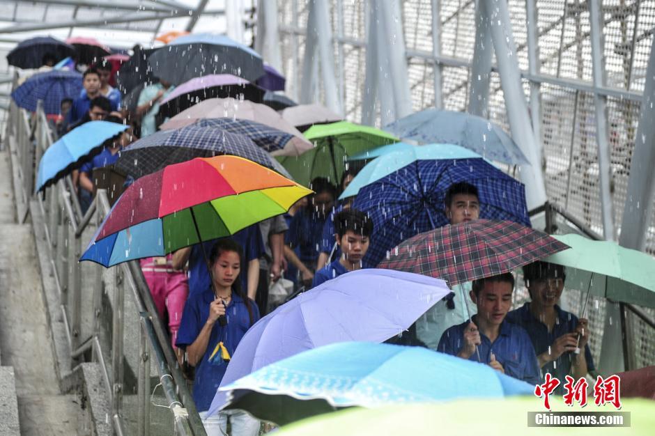 深圳台风“妮妲”过境 强降水致部分城区成泽国