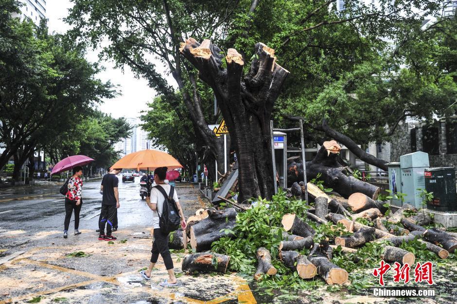 深圳台风“妮妲”过境 强降水致部分城区成泽国