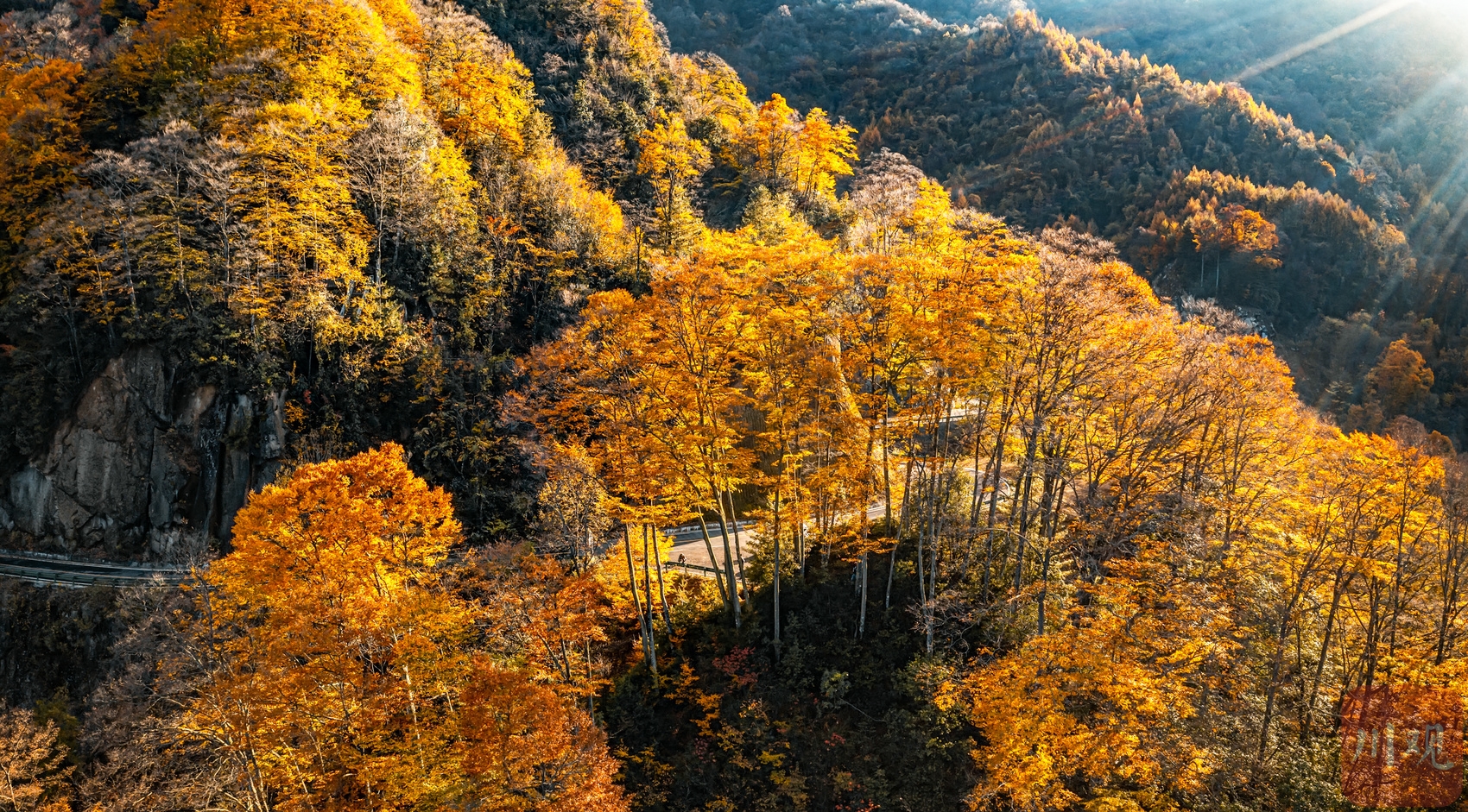 （转载）秋色醉人 光雾山漫山红叶似仙境油画