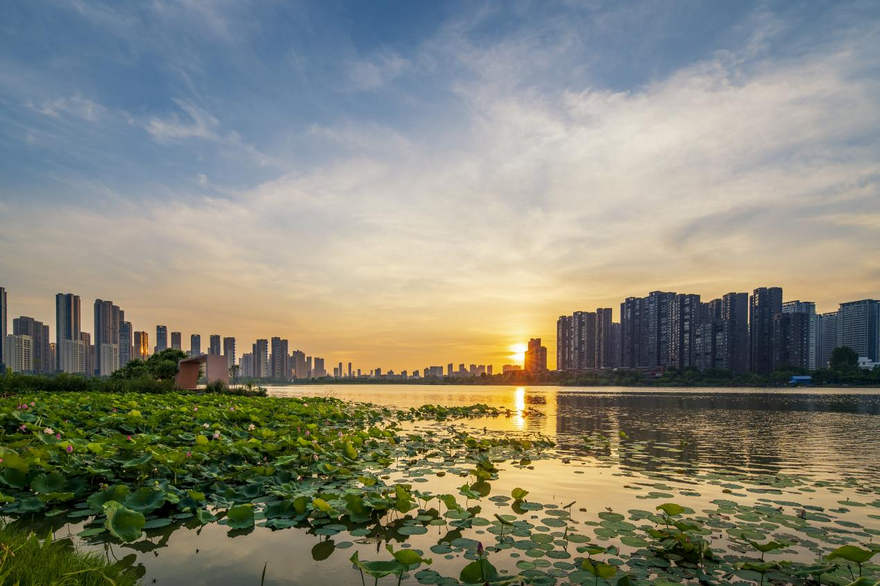 Jiangxia District, Wuhan: A Wetland Paradise Where People and Nature Coexist in Harmony_fororder_图片1