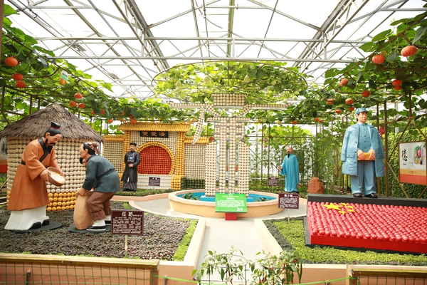寿光市蔬菜高科技示范园：科技加持、蔬菜成景
