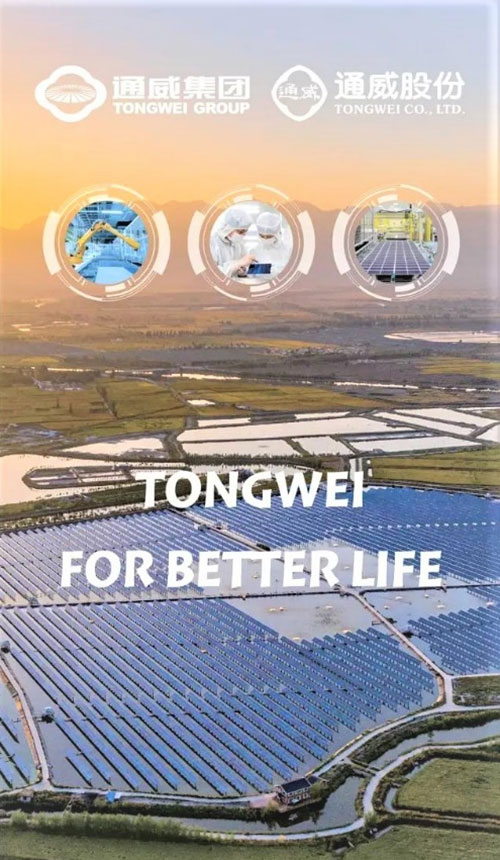 通威集团亮相联合国气候变化大会_fororder_通威集团海报-供图-通威集团