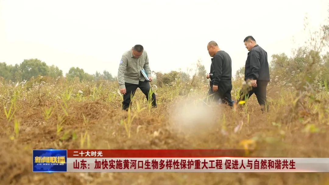 山东：加快实施黄河口生物多样性保护重大工程 促进人与自然和谐共生