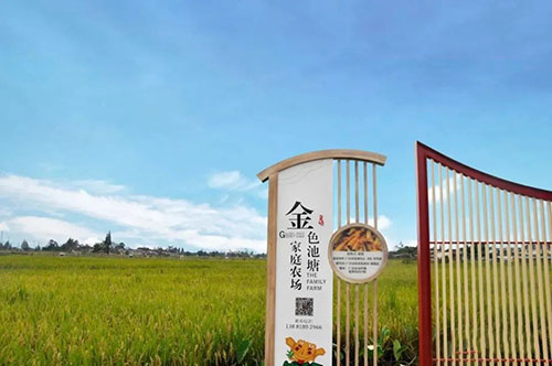 非凡十年·广汉答卷：农业现代化筑牢天府粮仓_fororder_金色池塘家庭农场