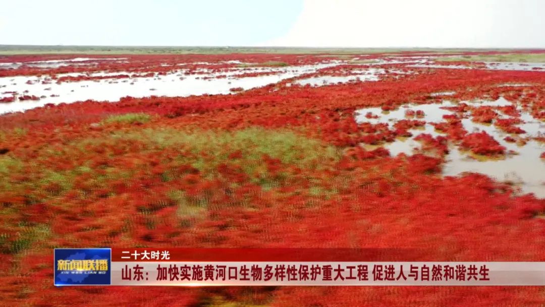 山东：加快实施黄河口生物多样性保护重大工程 促进人与自然和谐共生