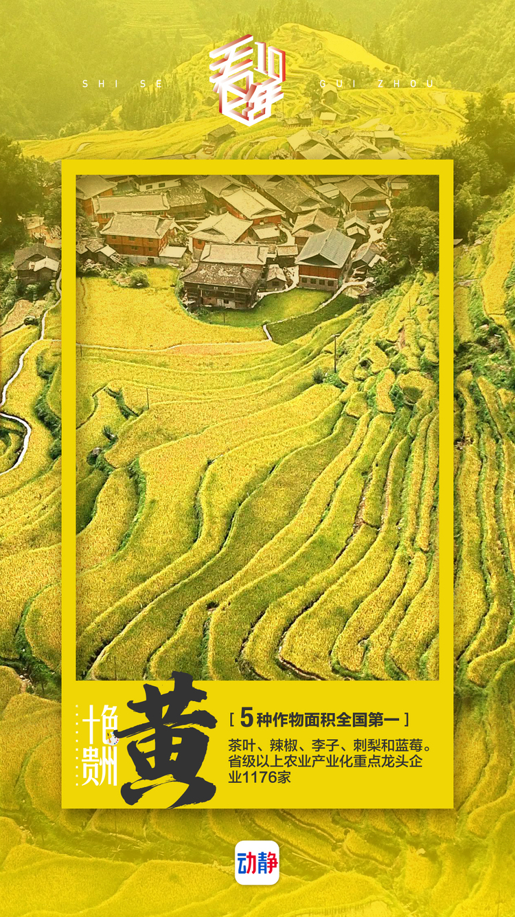 多彩贵州有多彩？这组海报告诉你，一个有内涵的十色贵州