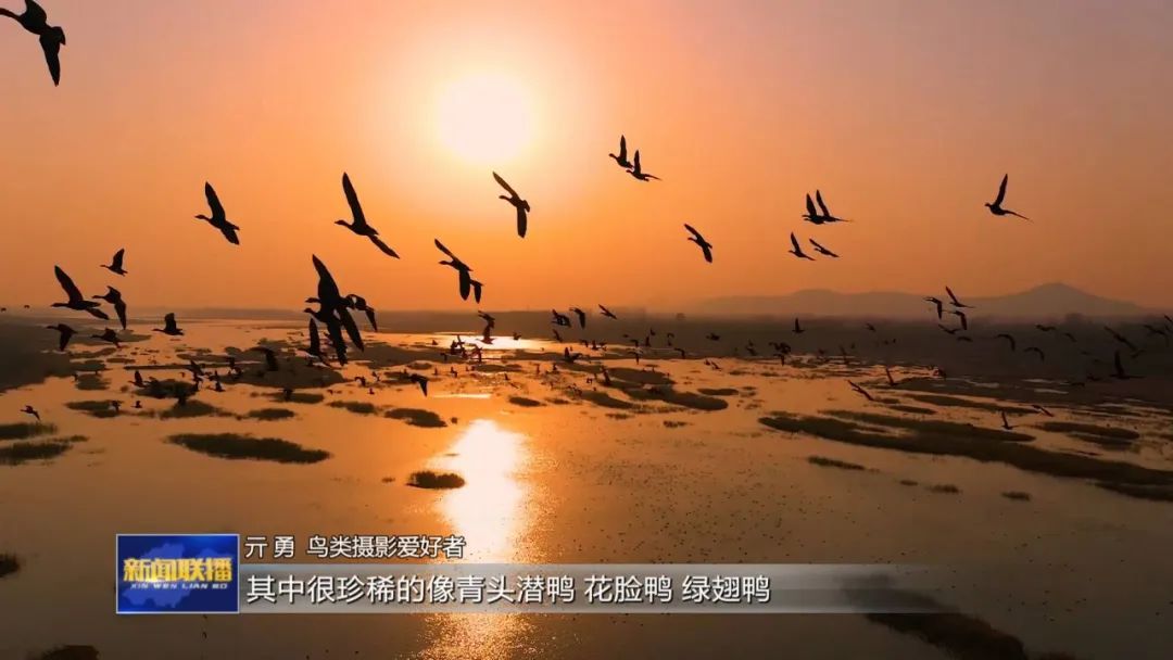 山东：奏响黄河流域生态保护和高质量发展大合唱