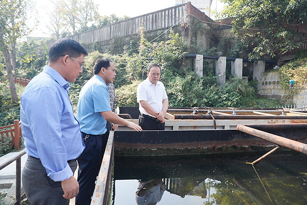 自贡市大安区委书记彭长林调研水环境治理工作_fororder_2调研现场