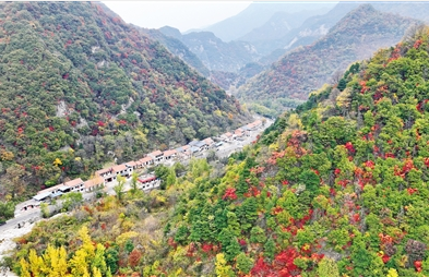 （转载）秋染秦岭_fororder_微信图片_20221026084509