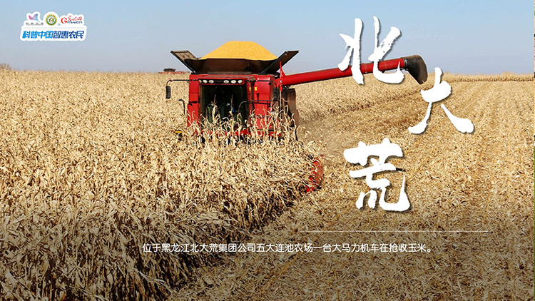 粮田绘“丰”景 | 颗粒归仓！全国秋粮收获超11亿亩