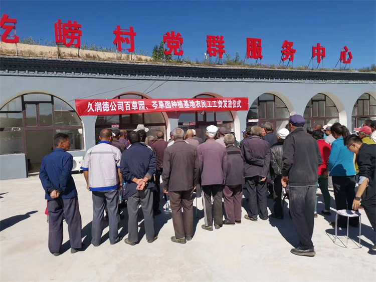 榆林市横山区：引进企业种药材 联农带农效益好_fororder_务工工资发放现场