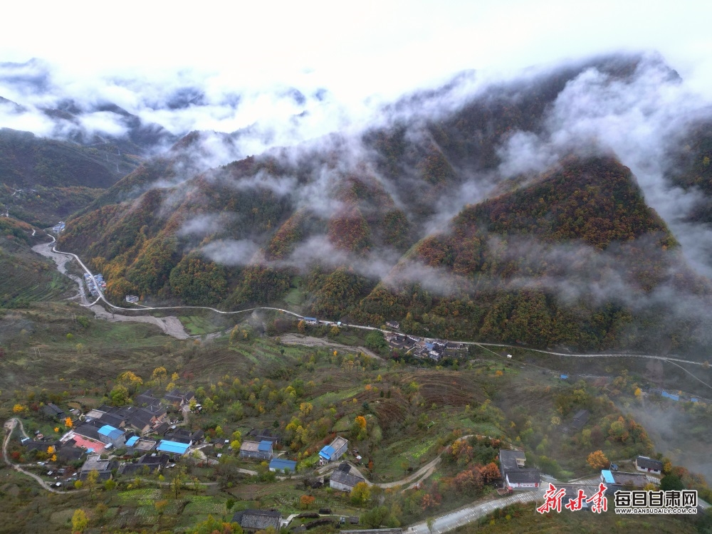 【大美甘肃】陇南：秋叶树树黄 薄雾依山峦_fororder_3