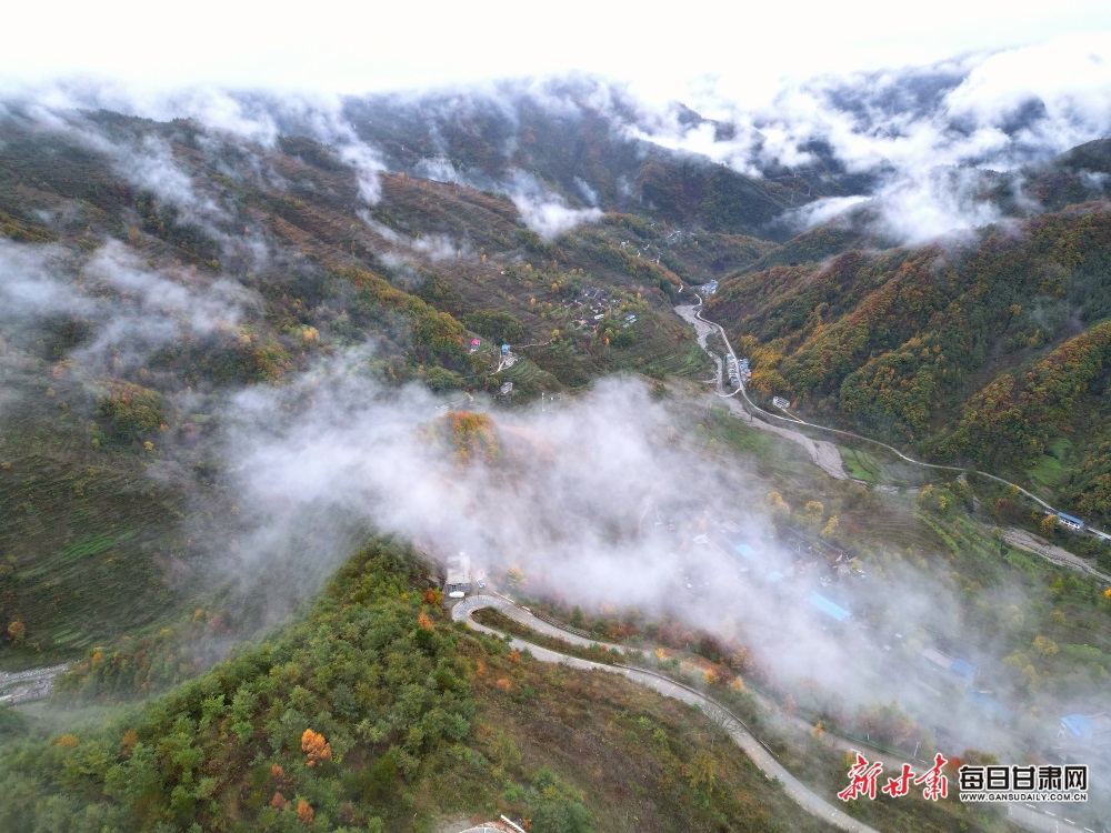 【大美甘肃】陇南：秋叶树树黄 薄雾依山峦_fororder_5