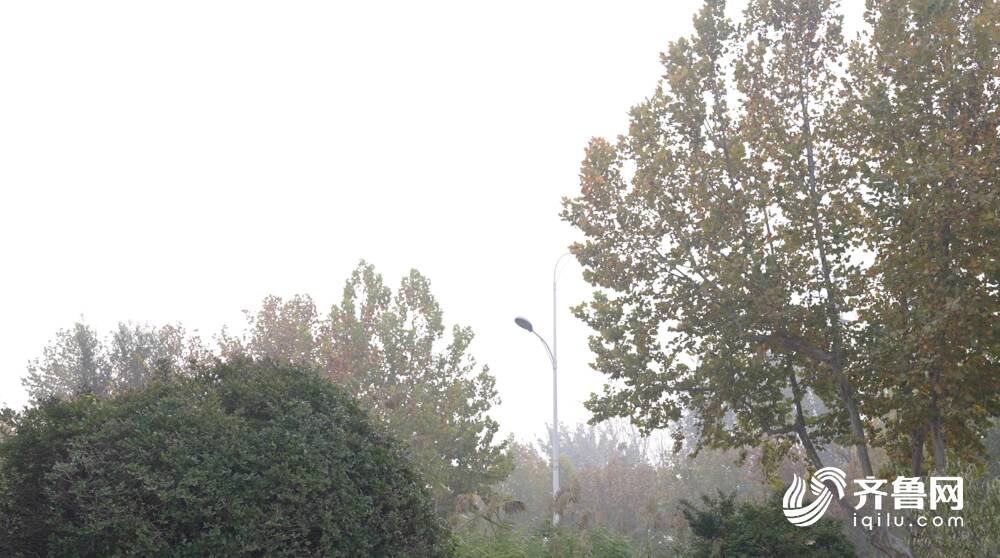 最低气温降至3℃+霜冻！弱冷空气未来几天频繁影响山东 气温将波动下降
