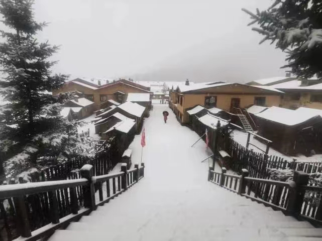今日小雪丨听说你想看雪了 黑龙江宠你！_fororder_e534e0c1d9f676a4102f96acde129a1