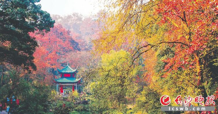 湖南长沙：心之所向 常来“长”往