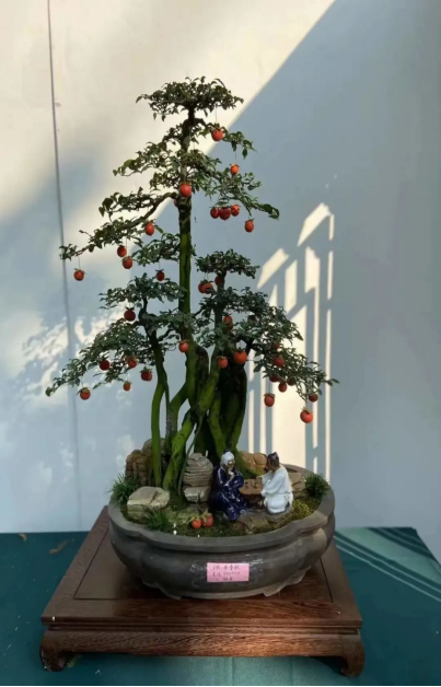 成都市第二十四届盆景展开幕_fororder_未标题-3