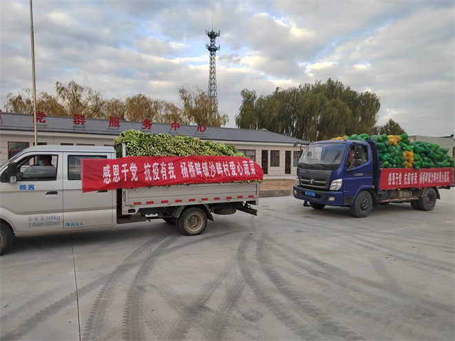 榆林市靖边县杨桥畔镇：致富不忘党恩 爱心蔬菜送“疫”线_fororder_现场 (1)