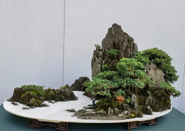 成都市第二十四届盆景展开幕_fororder_未标题-1