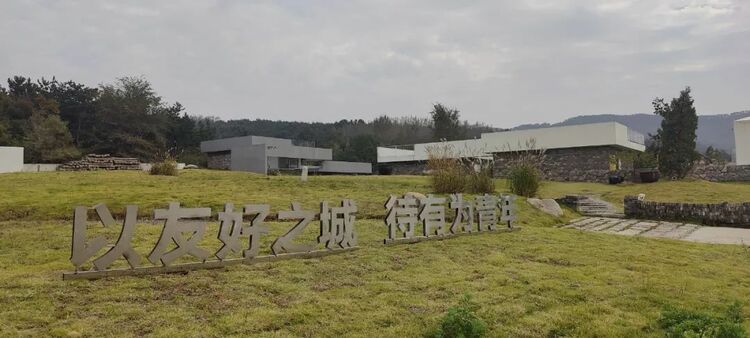 文登区入选山东省青年发展友好型县域试点