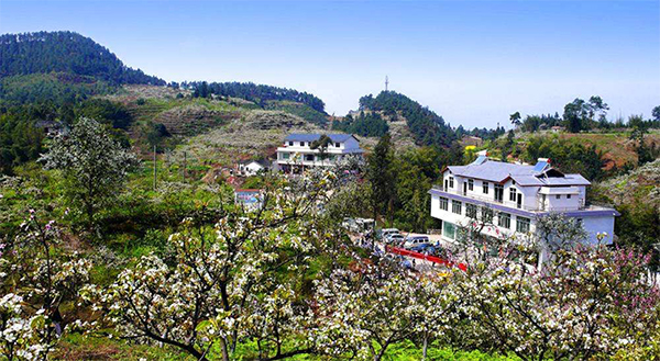 川南唯一 四川长宁入选中国旅游百强县市_fororder_佛来山--长宁县文广旅游局供图
