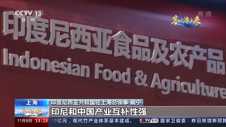 进博面对面丨印尼驻沪总领事：赞赏中国坚持更高水平对外开放