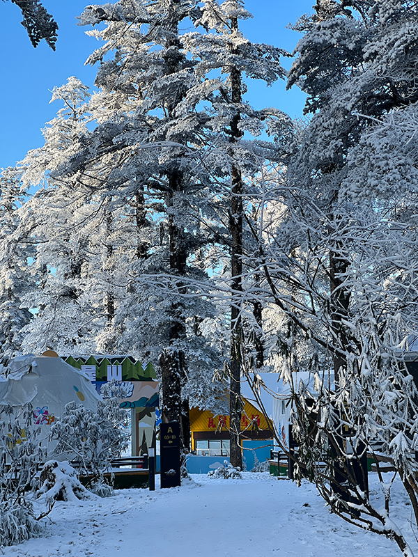 漂亮！雪后的瓦屋山宛如童话世界_fororder_摄影--栗慧娟