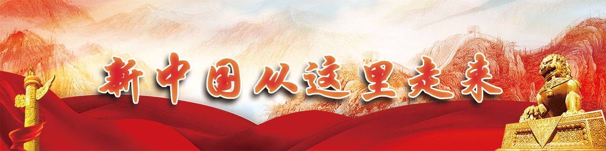 图片默认标题