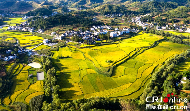 贵州黔西：大地如画秋色美