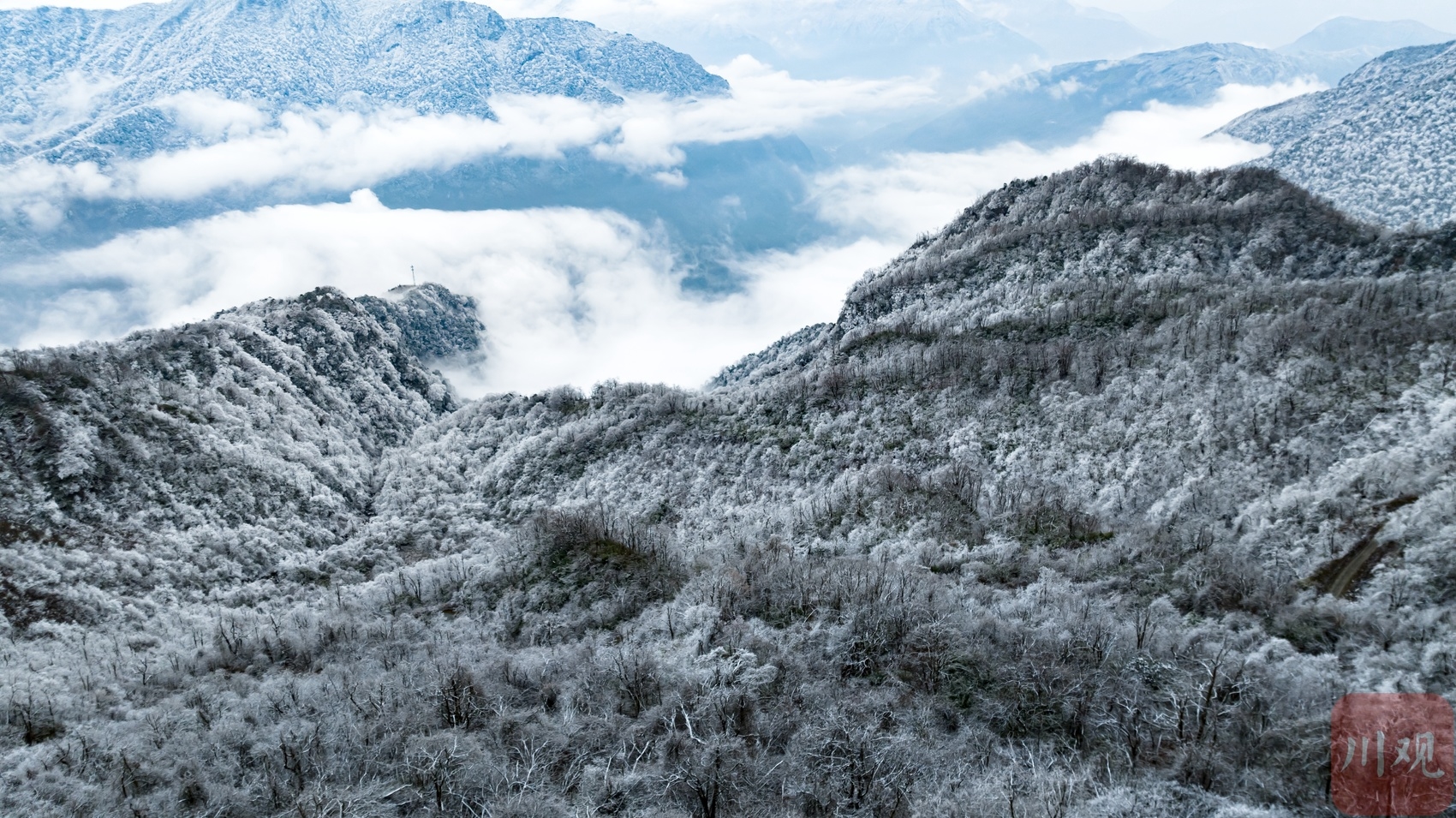 （转载）玉树琼枝裹银装 绵阳千佛山成冰雪仙境