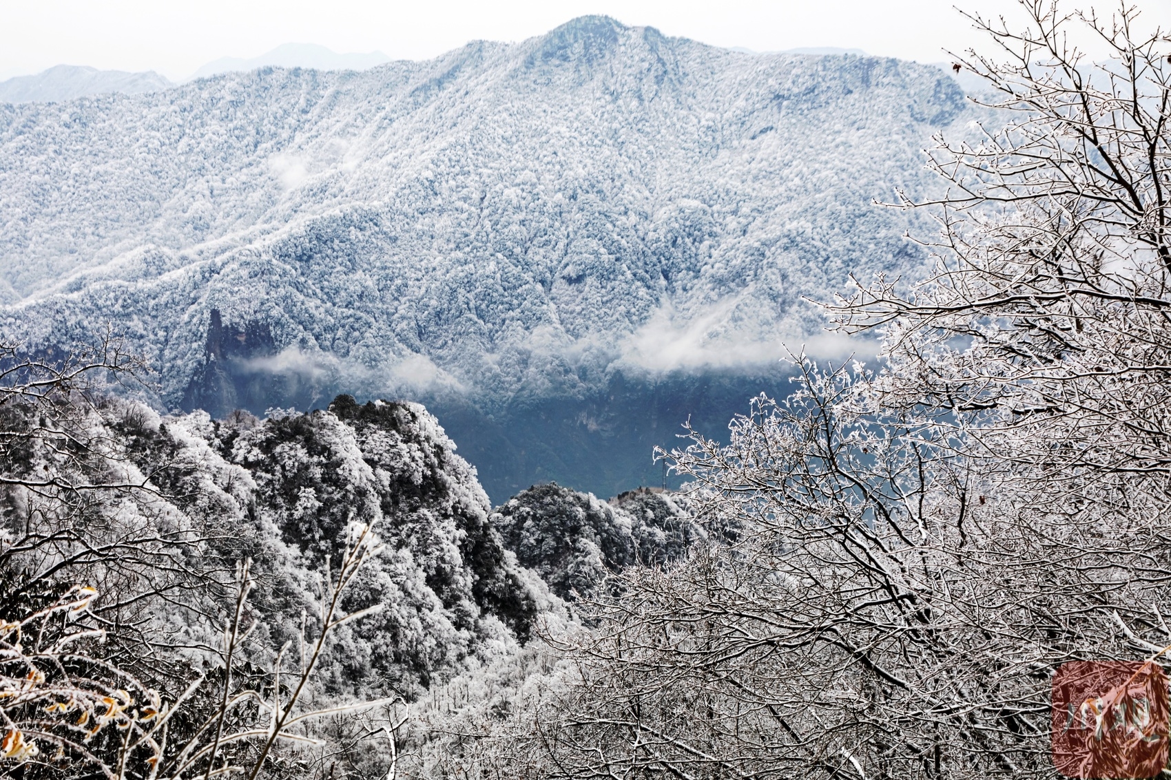 （转载）玉树琼枝裹银装 绵阳千佛山成冰雪仙境