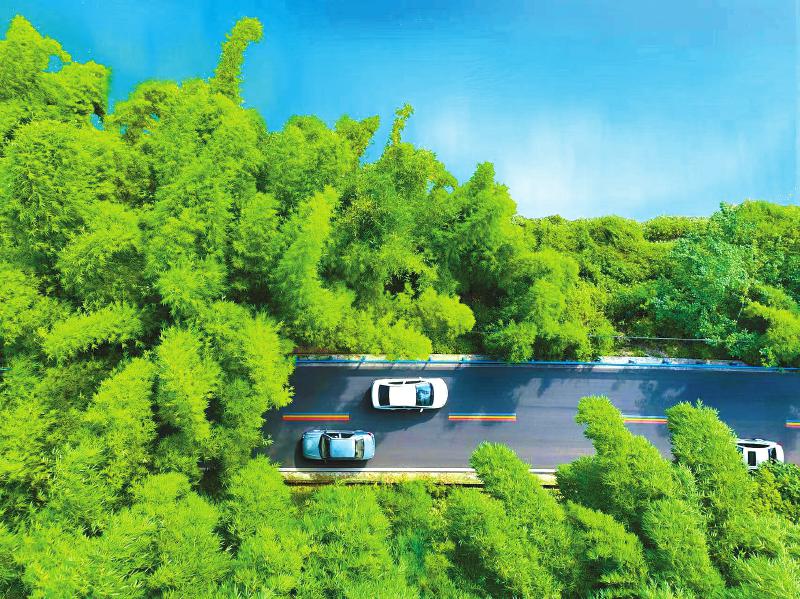眉山青神：加“竹”马力 建设高质量发展的国际竹艺名城