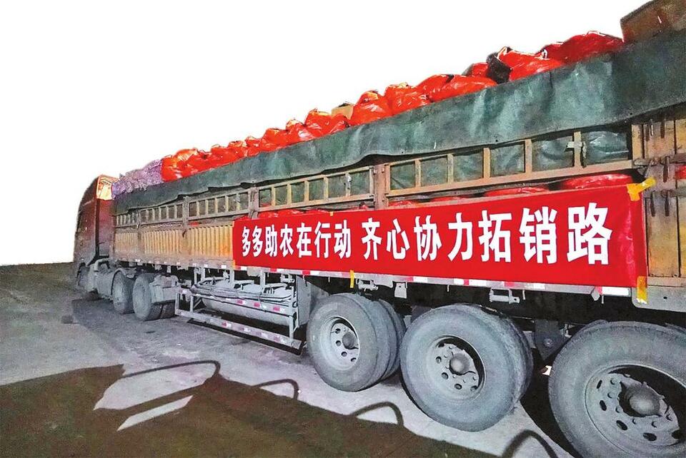 大理紫皮大蒜搭乘“爱心助农”活动上网_fororder_2b7e