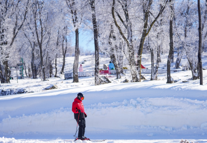 镜观吉林 | 吉林喜迎“开板季” 玩冰戏雪嗨起来