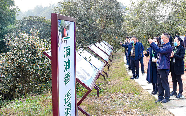 共谋油茶发展前景 四川省油茶产业发展现场推进会在自贡荣县举行_fororder_6参会代表了解油茶种植情况（摄影-赵丽）