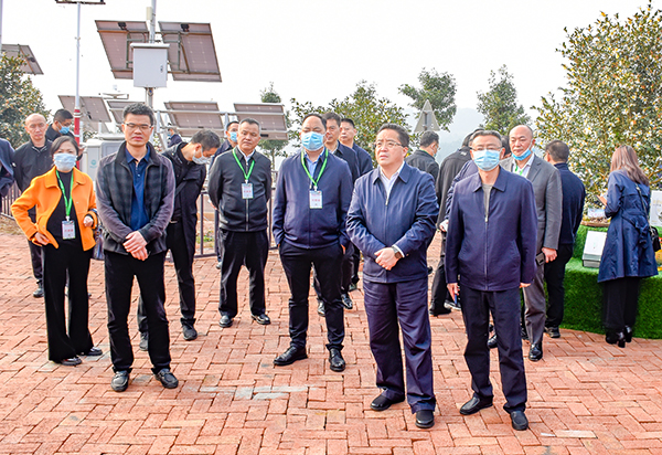 共谋油茶发展前景 四川省油茶产业发展现场推进会在自贡荣县举行_fororder_4参观油茶种植示范基地现场（摄影-赵丽）