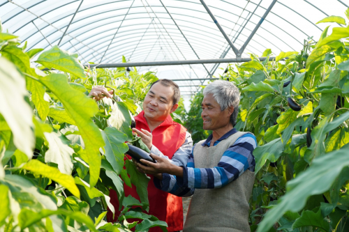 山东临朐烟草：强根铸魂抓党建 厚植优势促发展