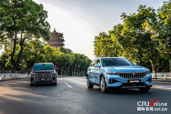 岚图汽车A轮融资近50亿 为中国新能源汽车行业迄今规模最大首轮融资_fororder_image005