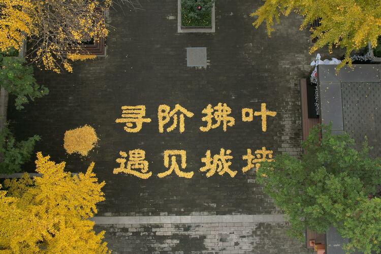（转载）西安城墙网红银杏叶景观搬上“云端”