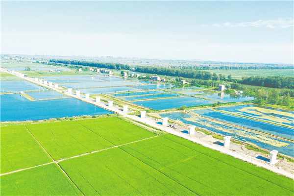 沿江高铁武宜段全线进入架梁高峰 “超级高铁”助力交通强国_fororder_01