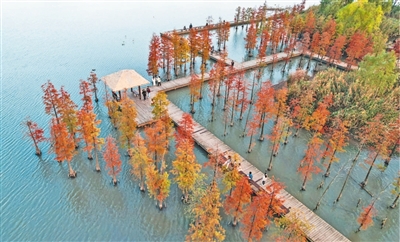 保护湿地 绿色发展