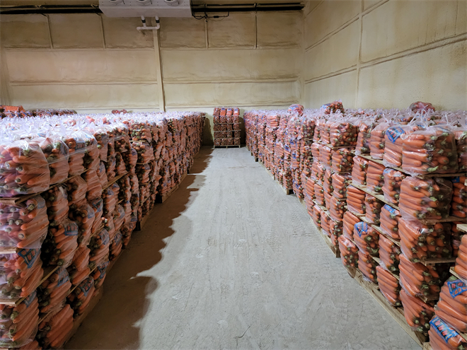 榆林靖边：农产品仓储保鲜冷链设施建设助力乡村振兴_fororder_东坑镇冷库储存的蔬菜 (3)